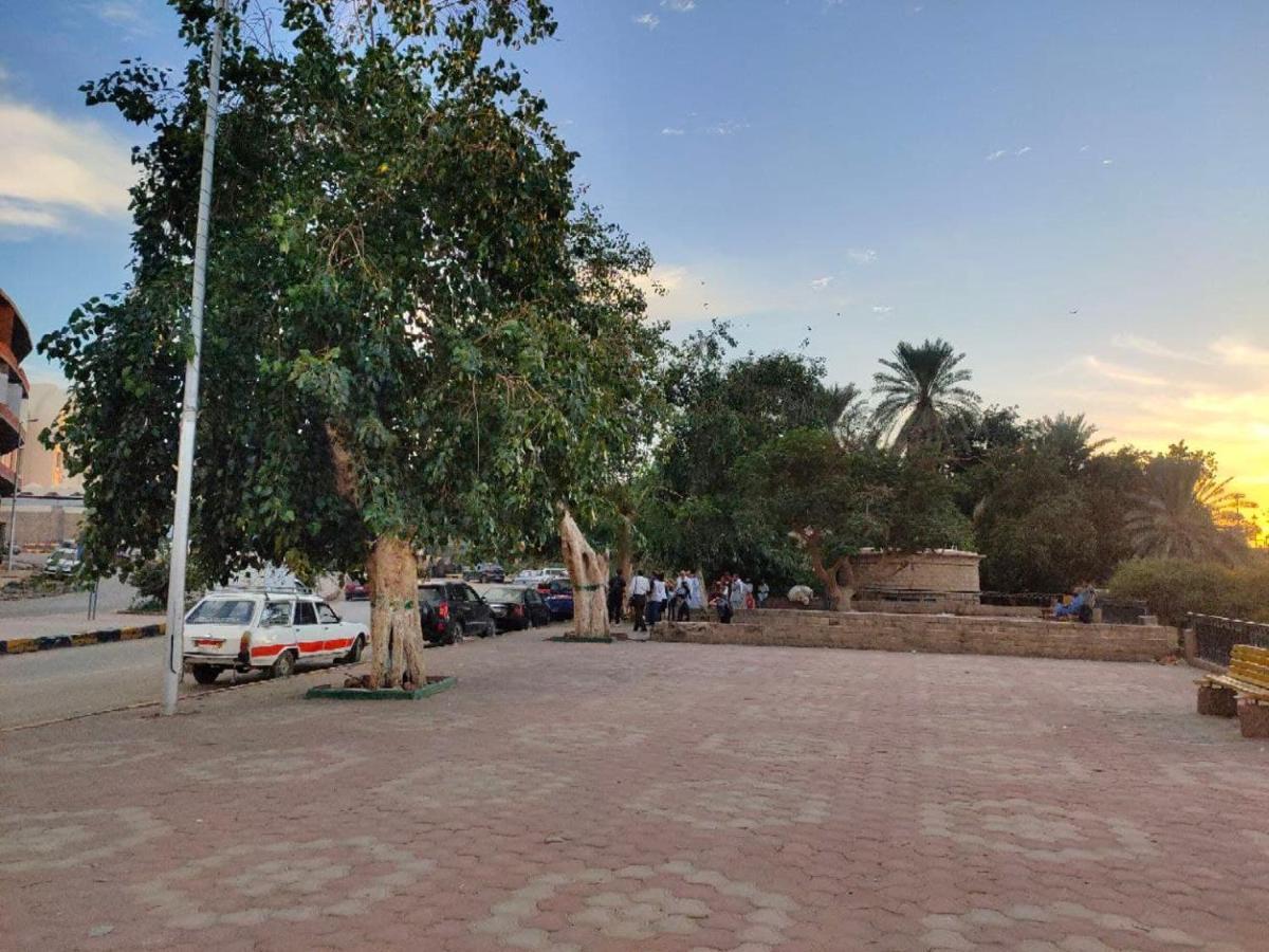 Nefertari Guest House 阿斯旺 外观 照片